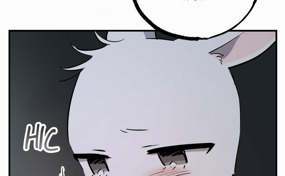 Những Chú Thỏ Của Hapypy 46 trang 49