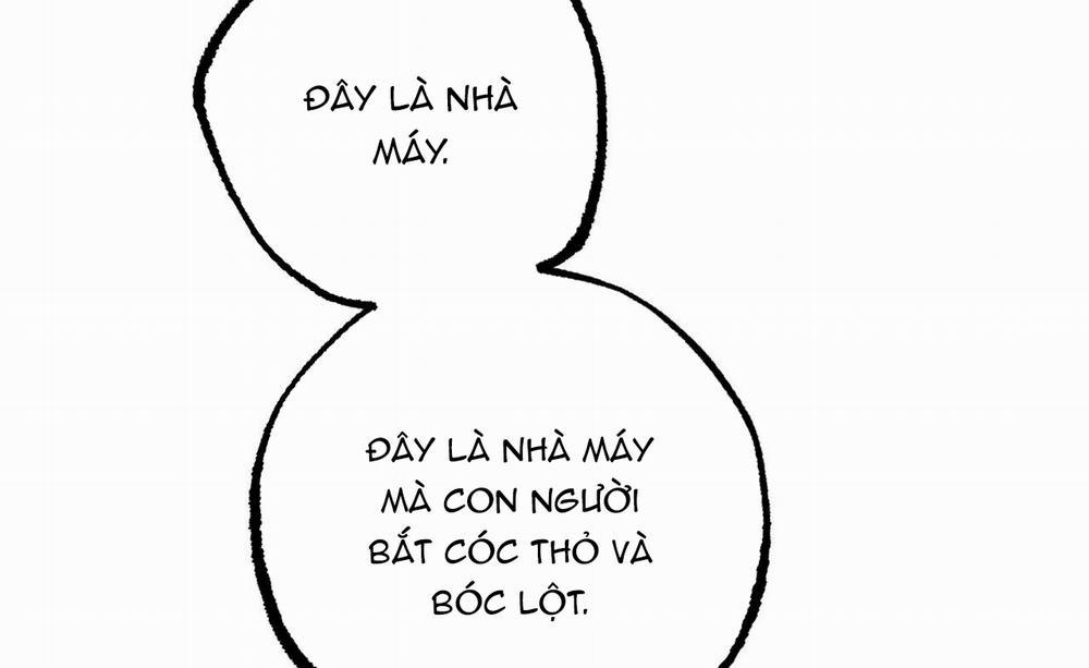 Những Chú Thỏ Của Hapypy 46 trang 59