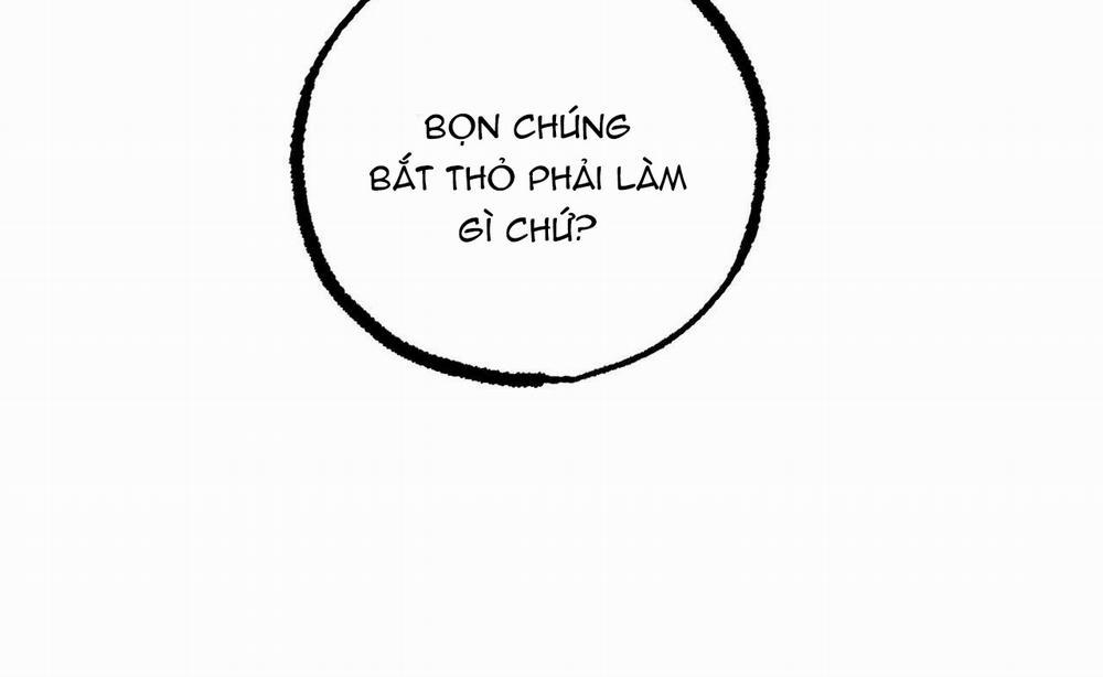 Những Chú Thỏ Của Hapypy 46 trang 62