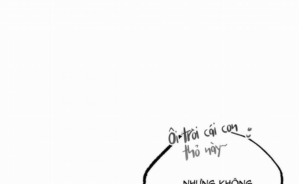 Những Chú Thỏ Của Hapypy 46 trang 87