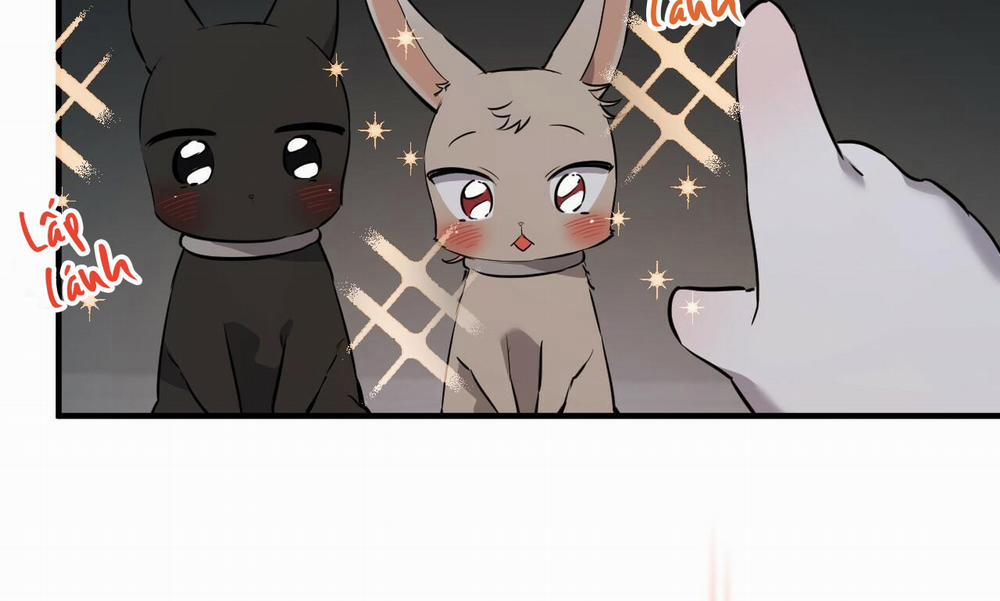 Những Chú Thỏ Của Hapypy 47 trang 10