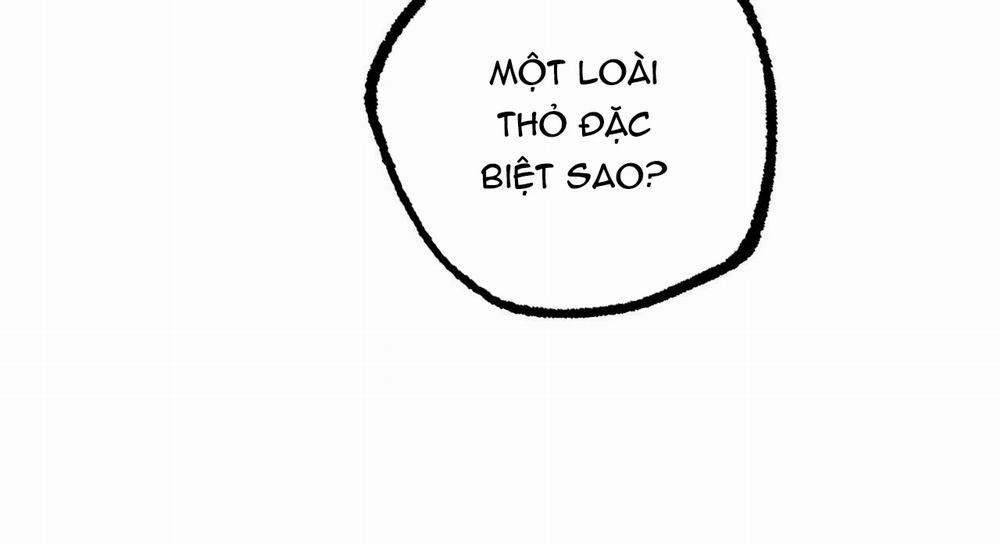 Những Chú Thỏ Của Hapypy 47 trang 117