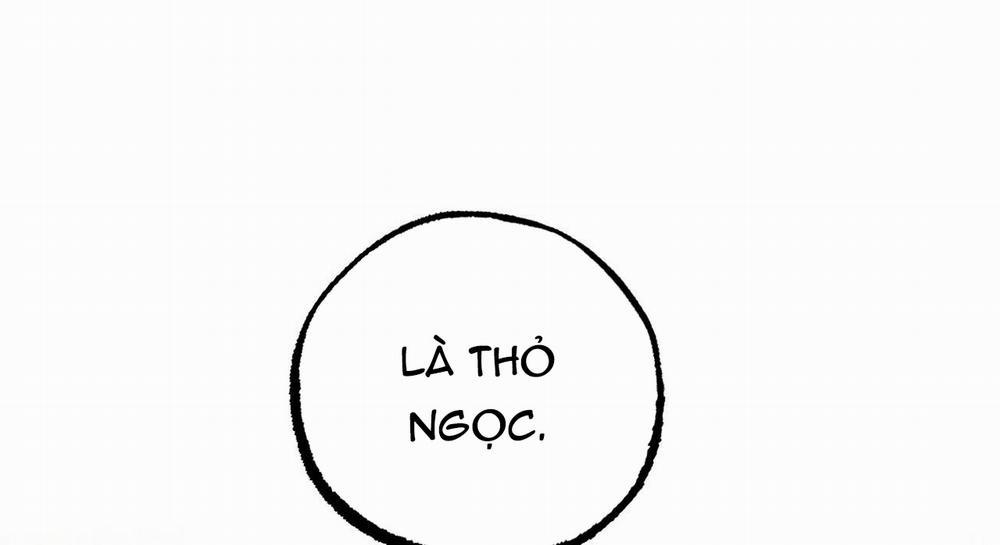 Những Chú Thỏ Của Hapypy 47 trang 119