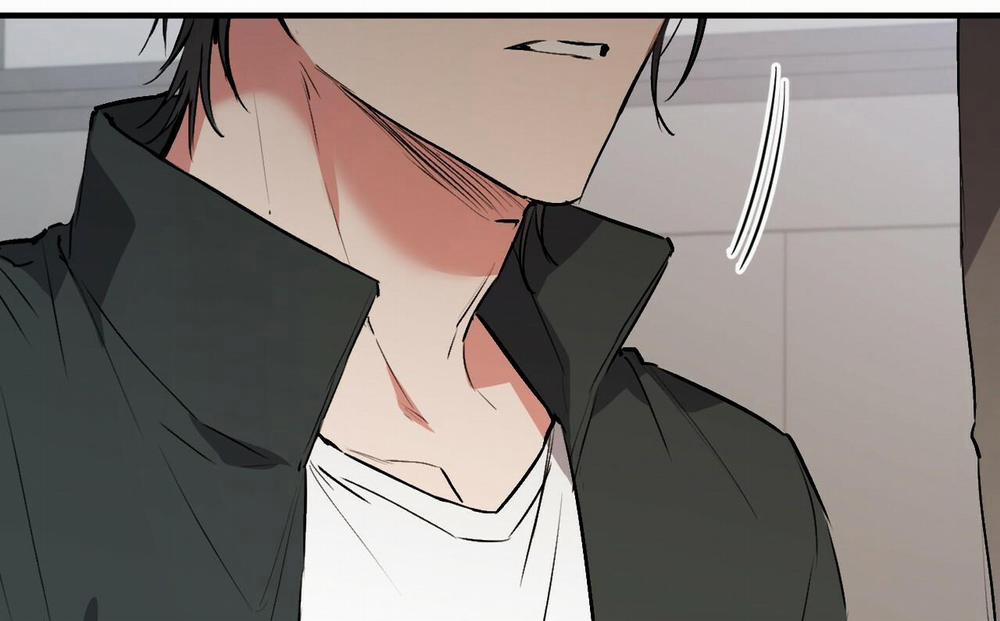 Những Chú Thỏ Của Hapypy 47 trang 153