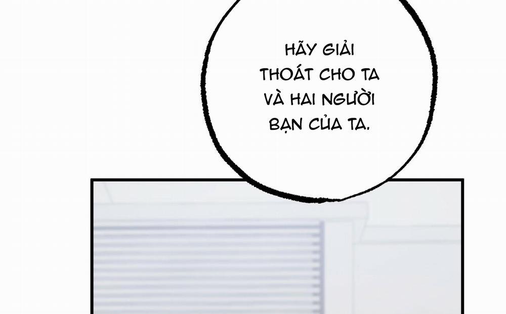 Những Chú Thỏ Của Hapypy 47 trang 159