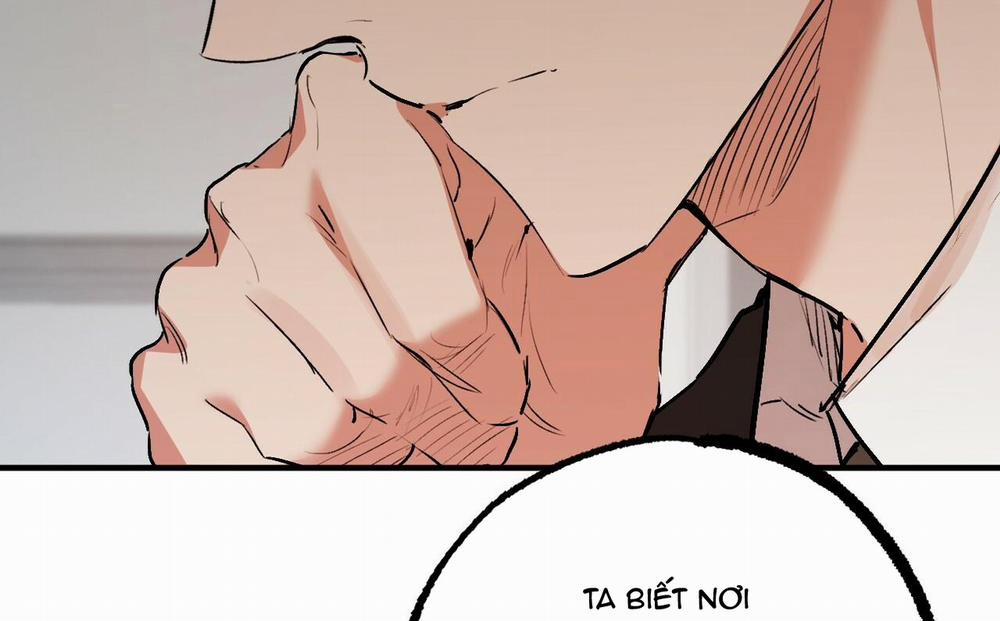 Những Chú Thỏ Của Hapypy 47 trang 164