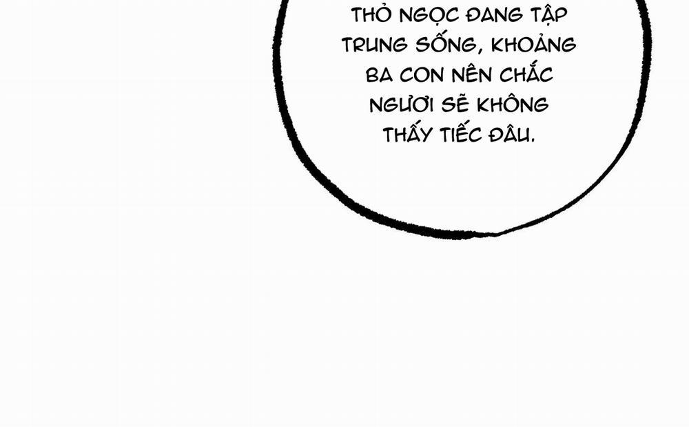 Những Chú Thỏ Của Hapypy 47 trang 165