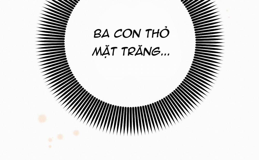 Những Chú Thỏ Của Hapypy 47 trang 167