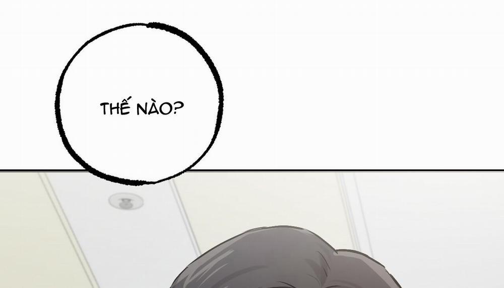 Những Chú Thỏ Của Hapypy 47 trang 174