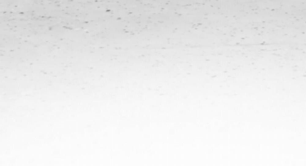 Những Chú Thỏ Của Hapypy 47 trang 194