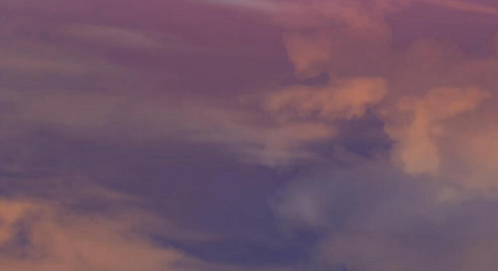 Những Chú Thỏ Của Hapypy 47 trang 198