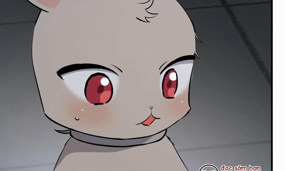 Những Chú Thỏ Của Hapypy 47 trang 2