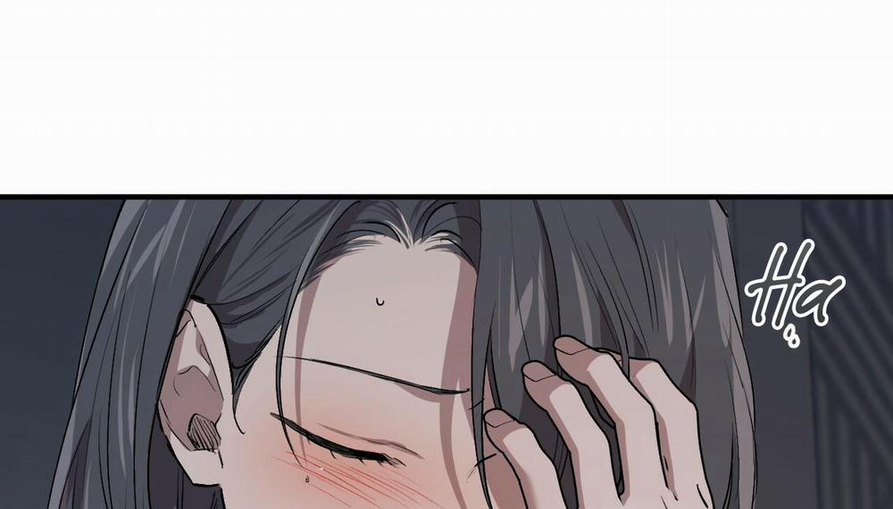 Những Chú Thỏ Của Hapypy 47 trang 211