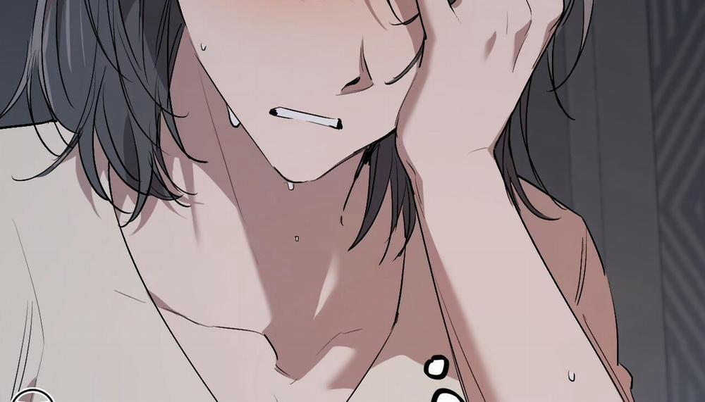 Những Chú Thỏ Của Hapypy 47 trang 212