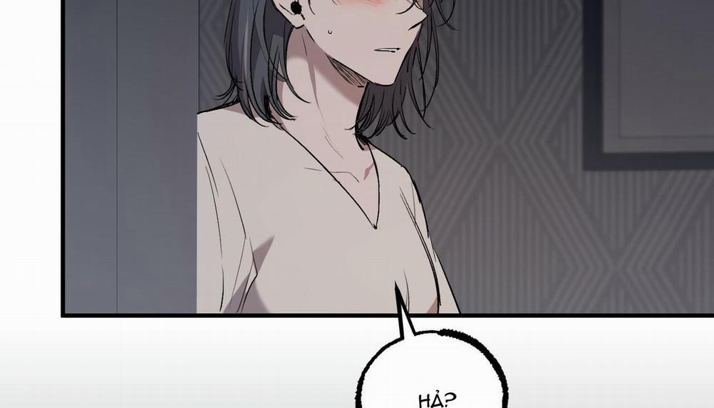 Những Chú Thỏ Của Hapypy 47 trang 224