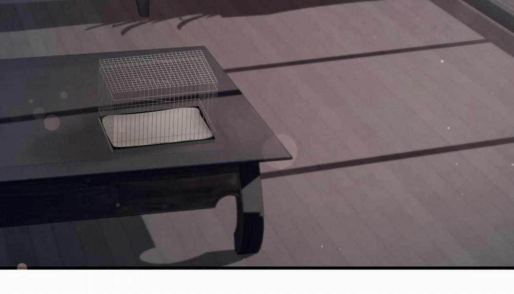 Những Chú Thỏ Của Hapypy 47 trang 228