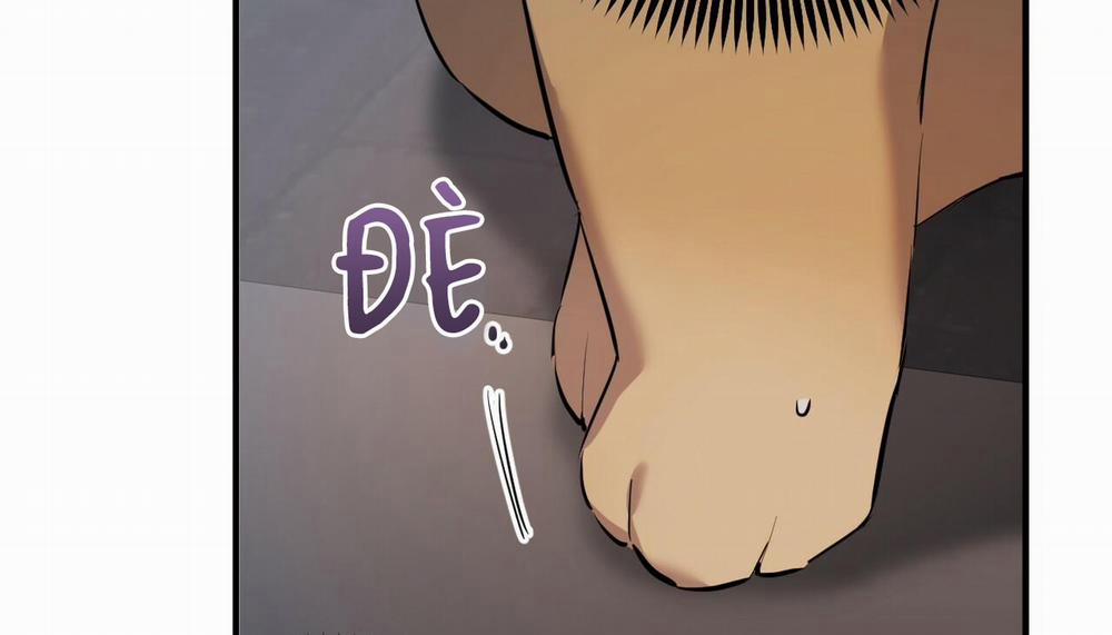 Những Chú Thỏ Của Hapypy 47 trang 254