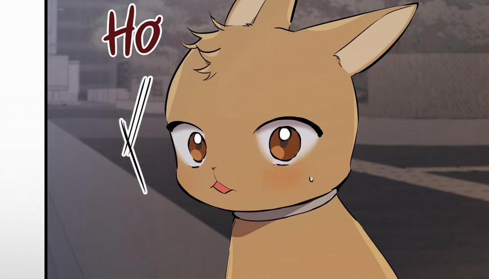 Những Chú Thỏ Của Hapypy 47 trang 273