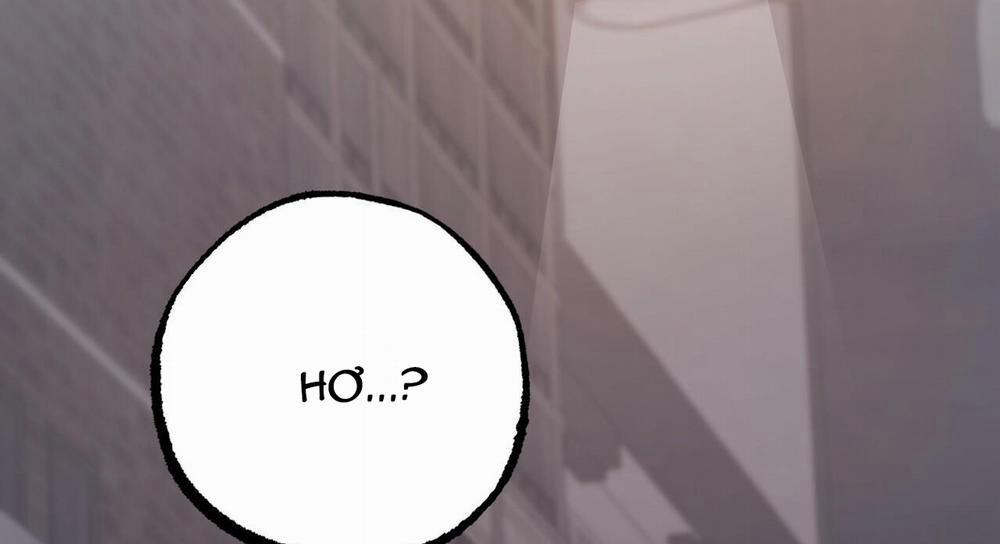 Những Chú Thỏ Của Hapypy 47 trang 275