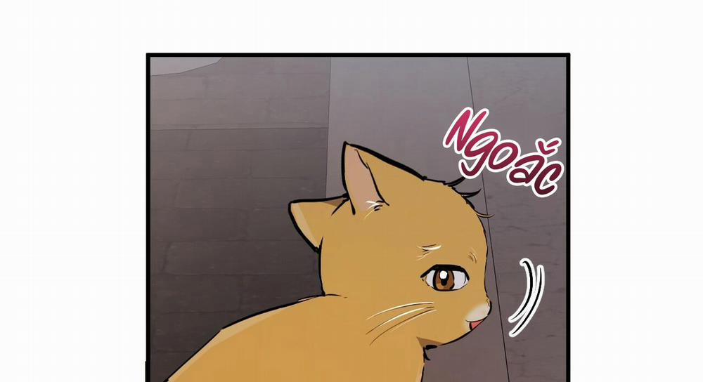 Những Chú Thỏ Của Hapypy 47 trang 281