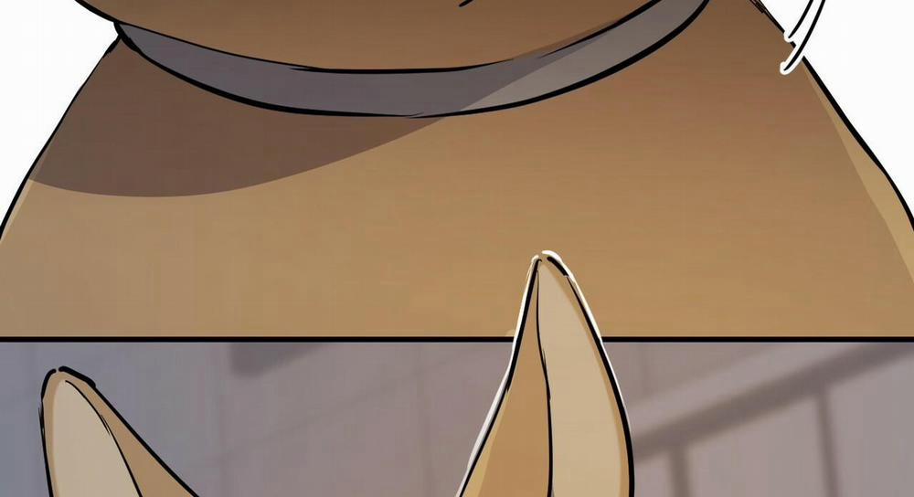 Những Chú Thỏ Của Hapypy 47 trang 290