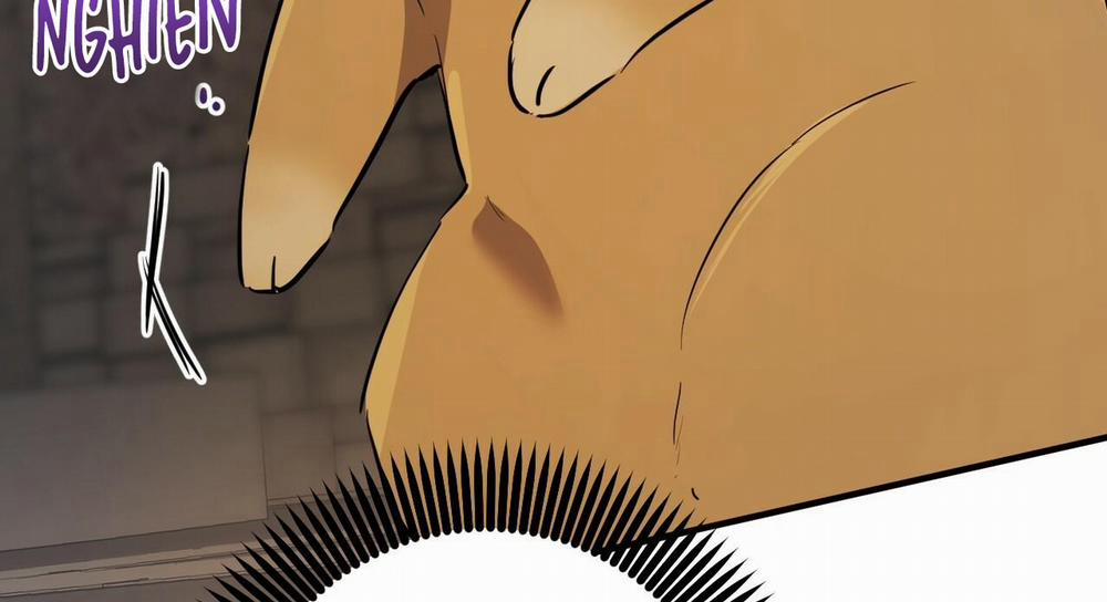 Những Chú Thỏ Của Hapypy 47 trang 293