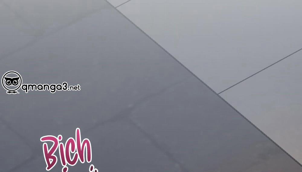 Những Chú Thỏ Của Hapypy 47 trang 297