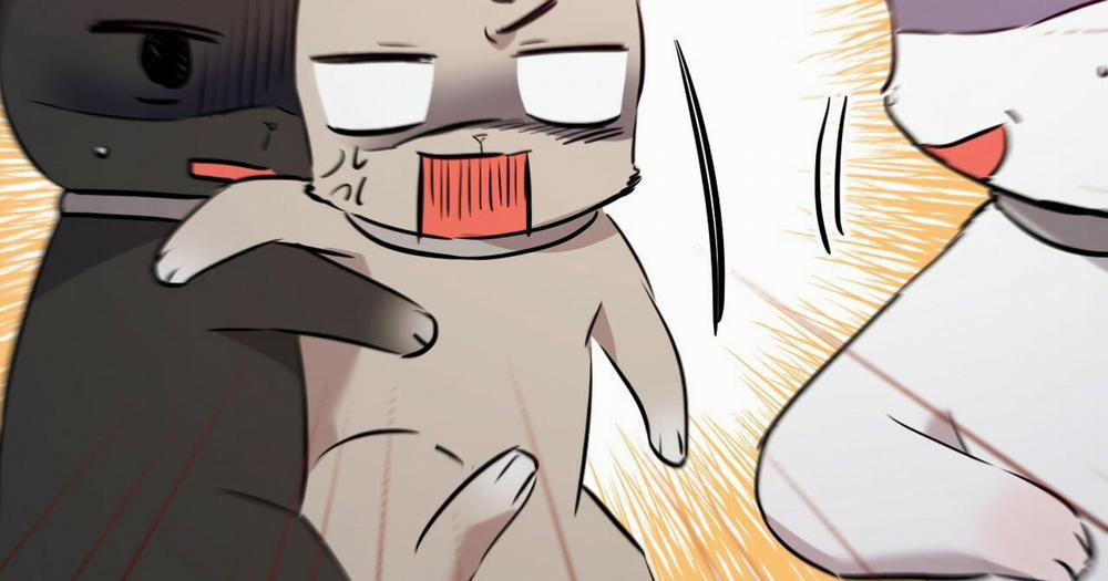 Những Chú Thỏ Của Hapypy 47 trang 30