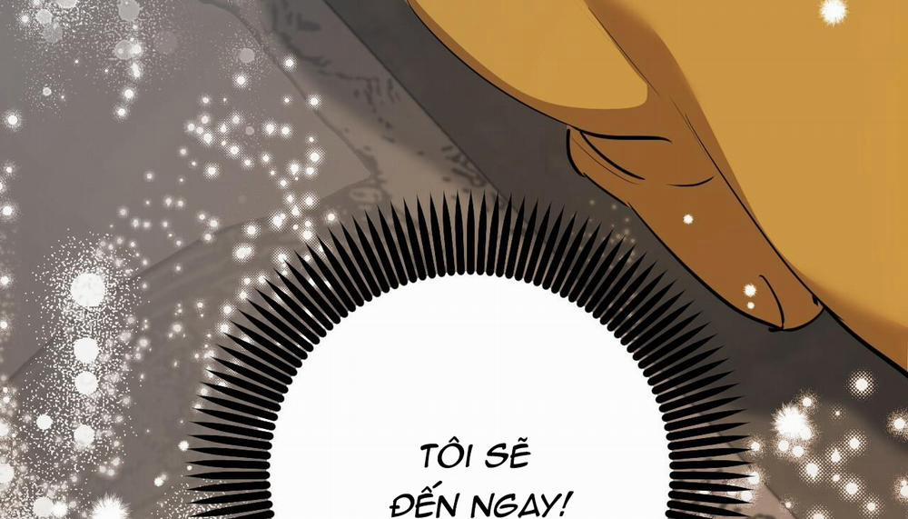 Những Chú Thỏ Của Hapypy 47 trang 302