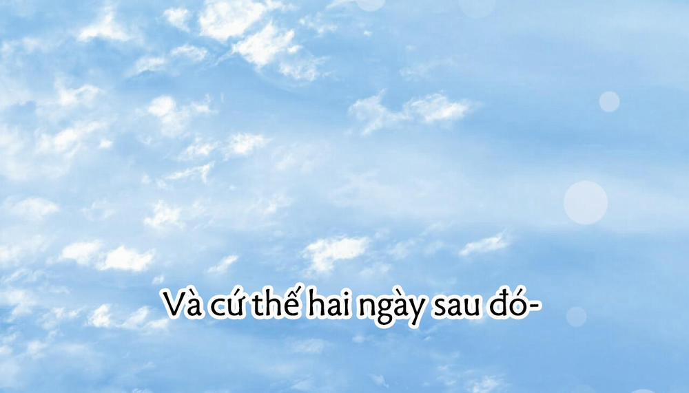 Những Chú Thỏ Của Hapypy 47 trang 306