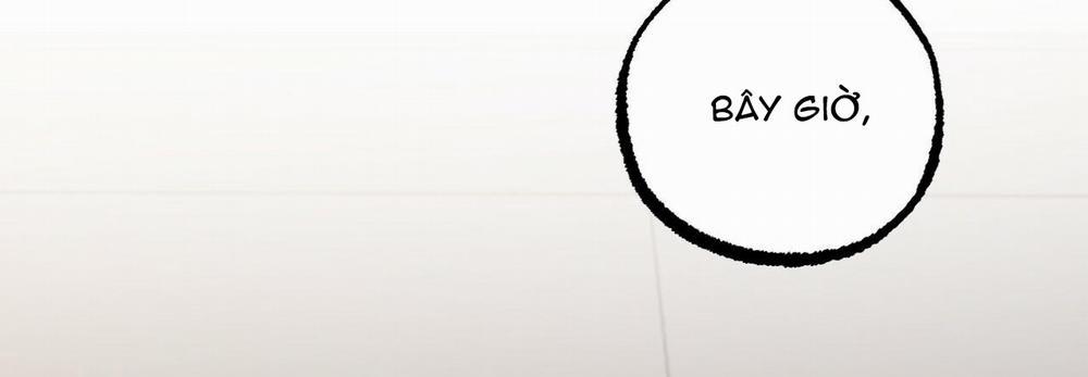 Những Chú Thỏ Của Hapypy 47 trang 322