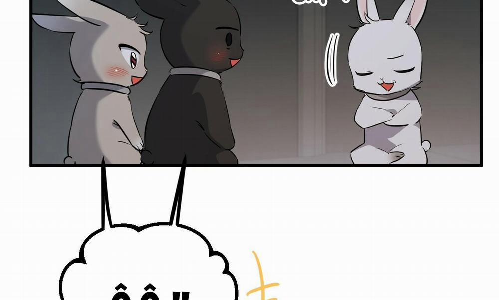 Những Chú Thỏ Của Hapypy 47 trang 6