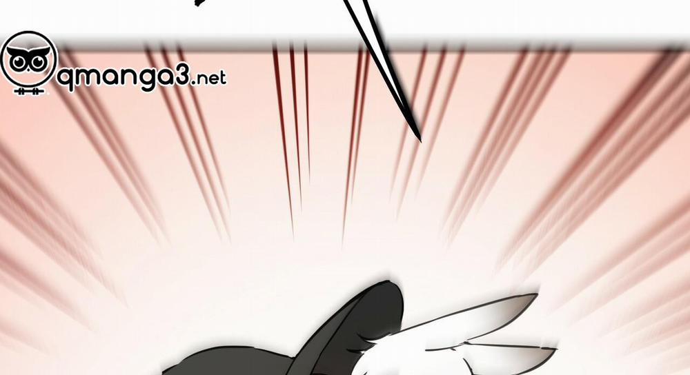 Những Chú Thỏ Của Hapypy 47 trang 72