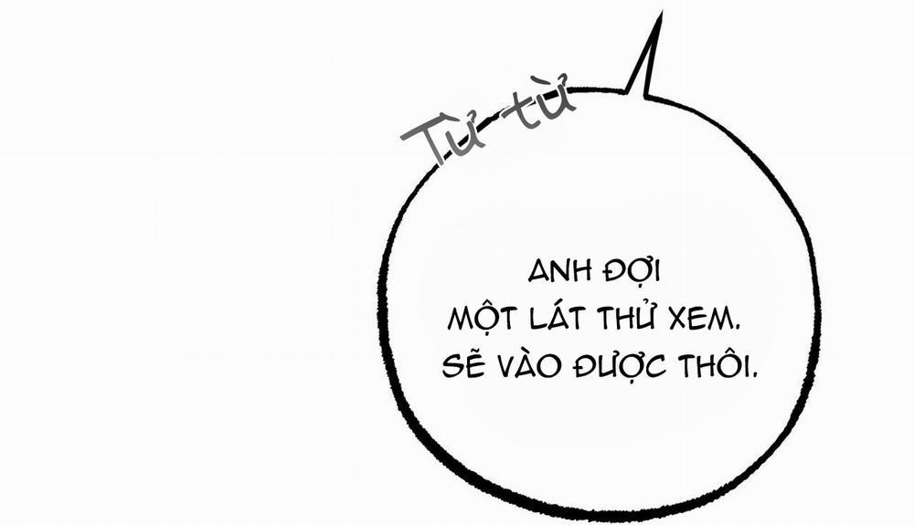 Những Chú Thỏ Của Hapypy 48 trang 149