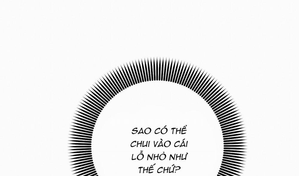 Những Chú Thỏ Của Hapypy 48 trang 158