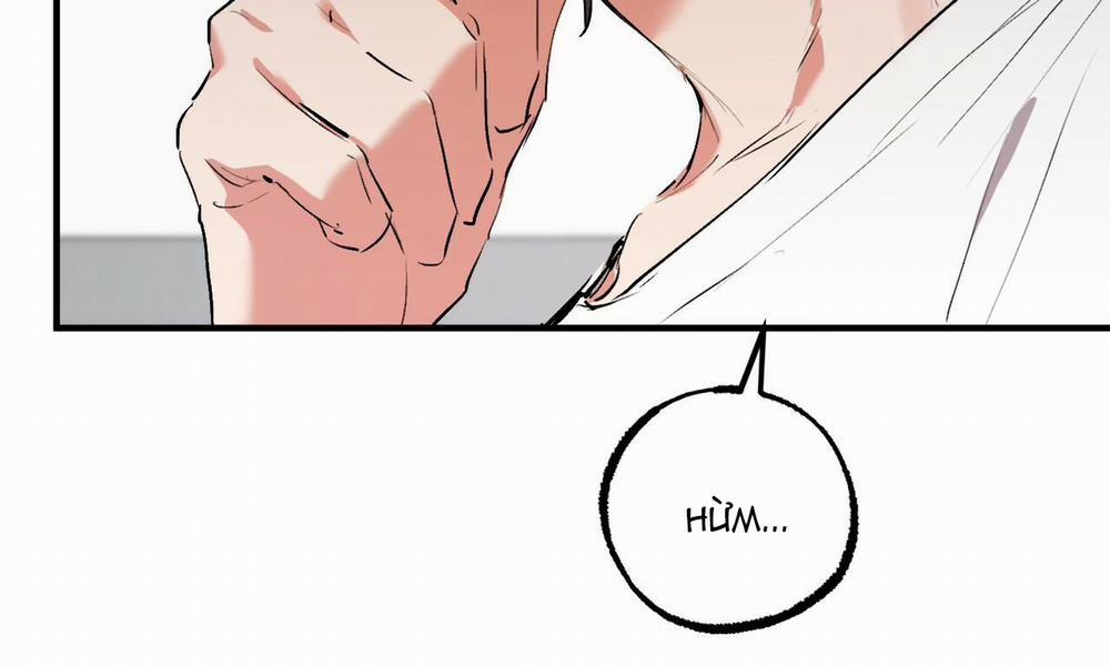 Những Chú Thỏ Của Hapypy 48 trang 18