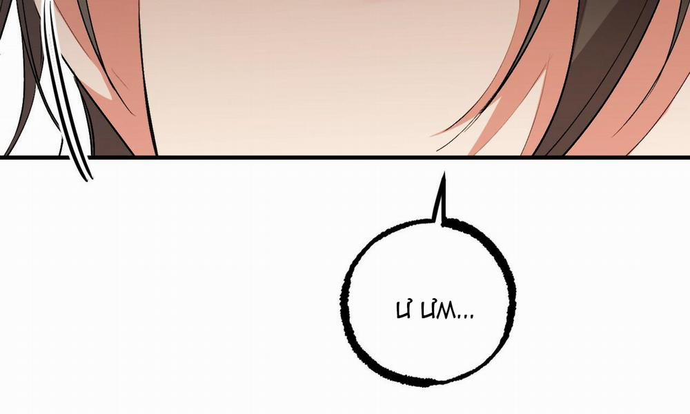 Những Chú Thỏ Của Hapypy 48 trang 2