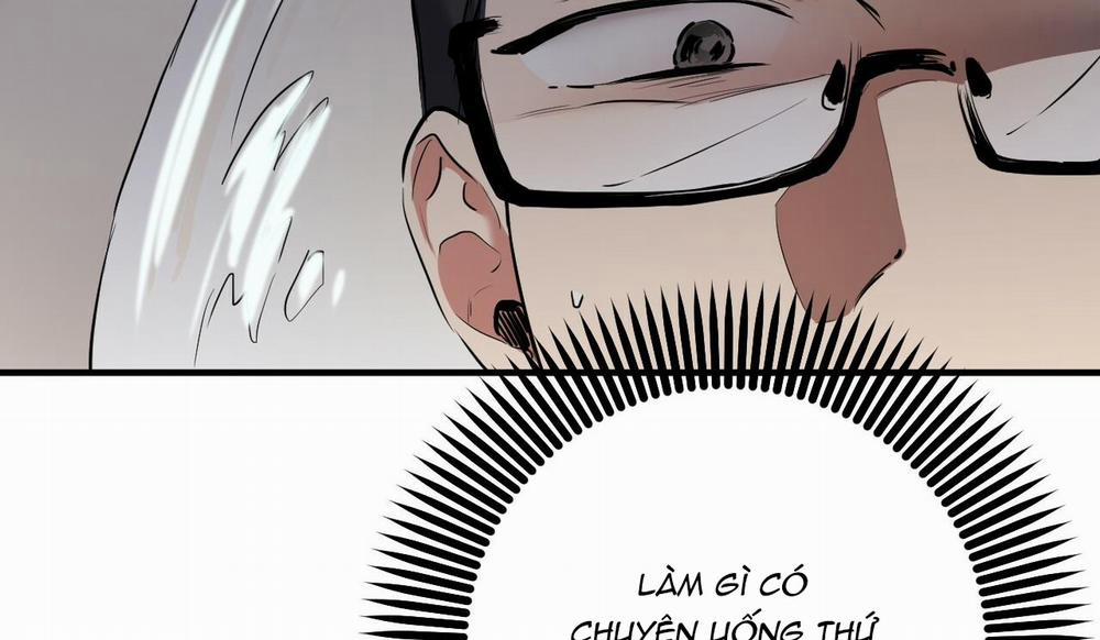 Những Chú Thỏ Của Hapypy 48 trang 205