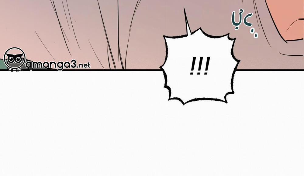 Những Chú Thỏ Của Hapypy 48 trang 221