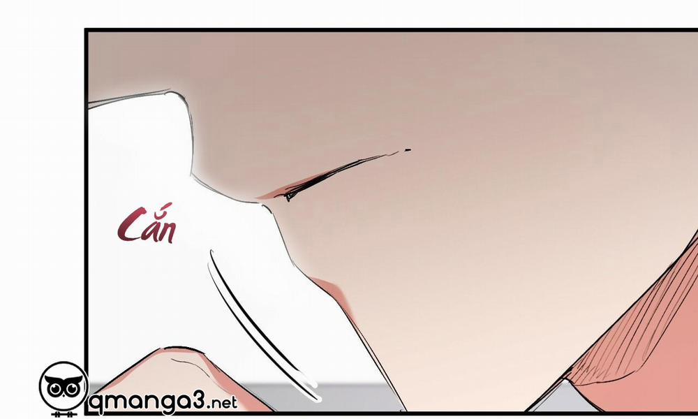 Những Chú Thỏ Của Hapypy 48 trang 24