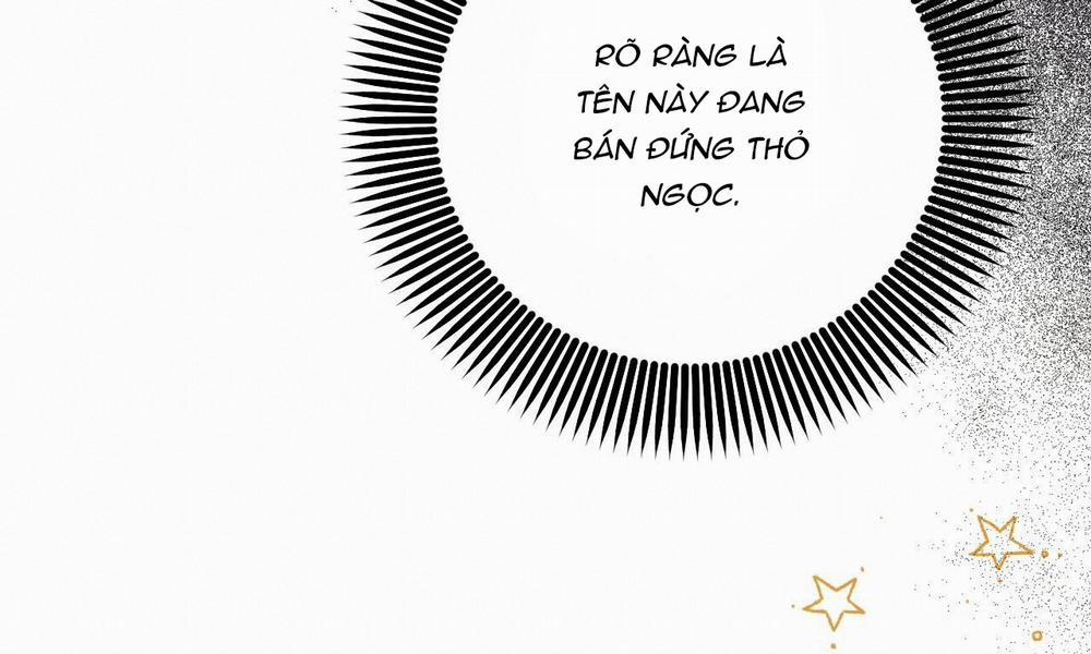 Những Chú Thỏ Của Hapypy 48 trang 253