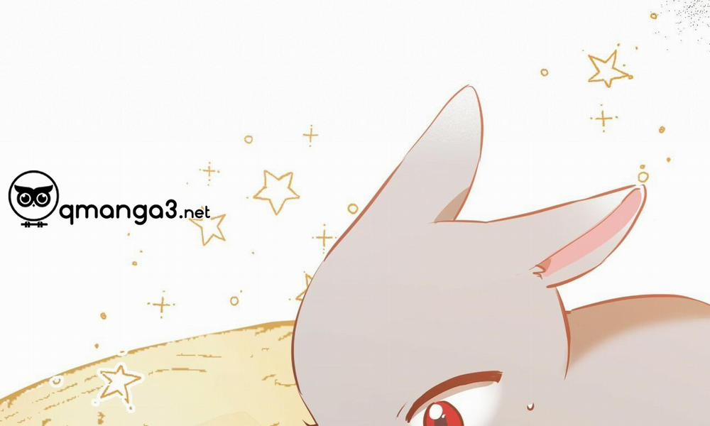 Những Chú Thỏ Của Hapypy 48 trang 254