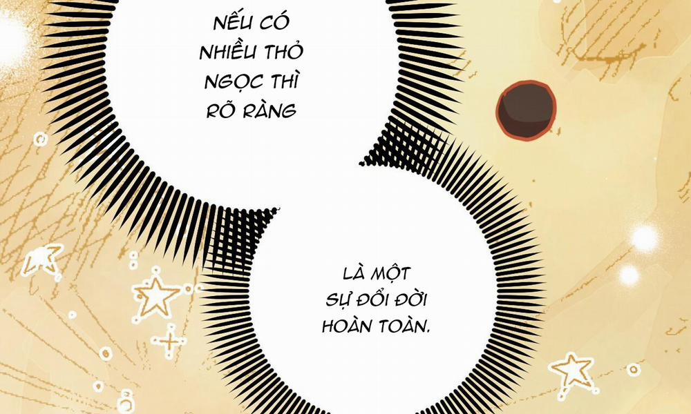 Những Chú Thỏ Của Hapypy 48 trang 257