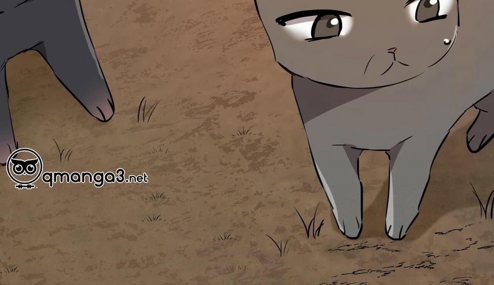 Những Chú Thỏ Của Hapypy 48 trang 283