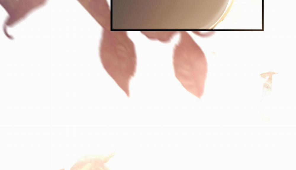 Những Chú Thỏ Của Hapypy 48 trang 295