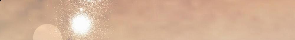 Những Chú Thỏ Của Hapypy 48 trang 313