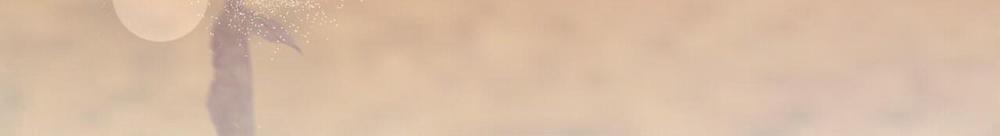 Những Chú Thỏ Của Hapypy 48 trang 314