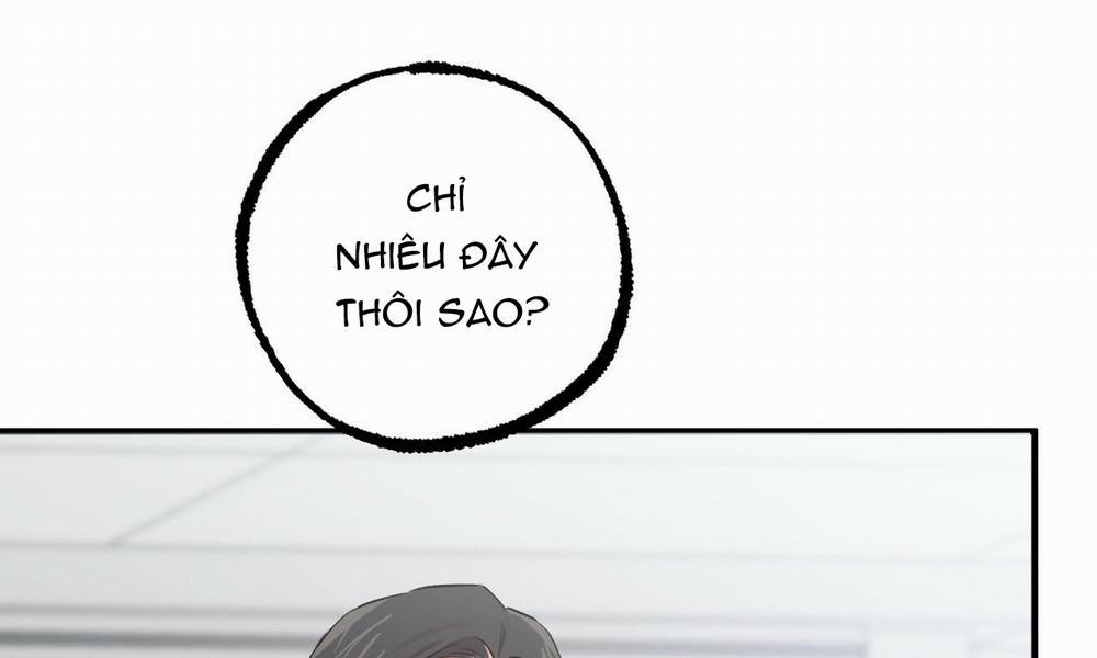 Những Chú Thỏ Của Hapypy 48 trang 4