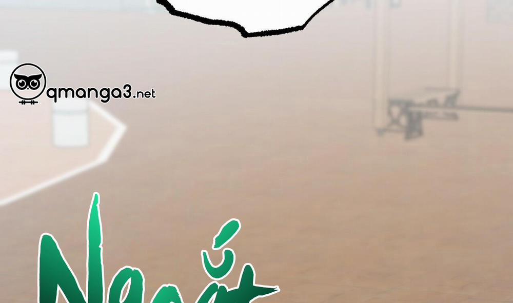 Những Chú Thỏ Của Hapypy 48 trang 53