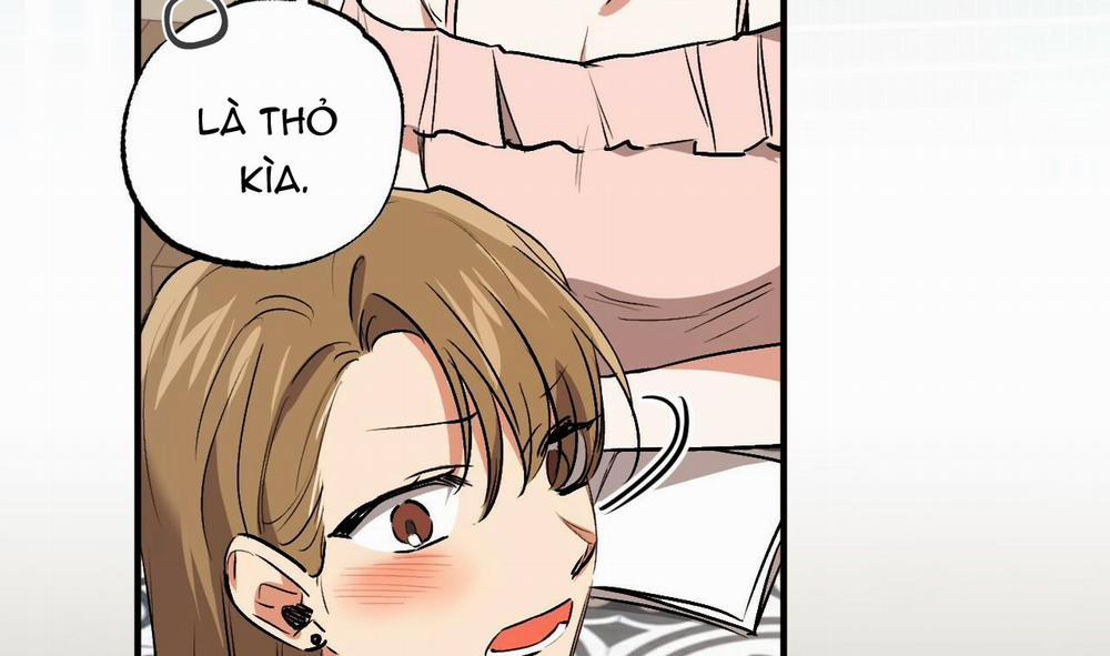 Những Chú Thỏ Của Hapypy 48 trang 66